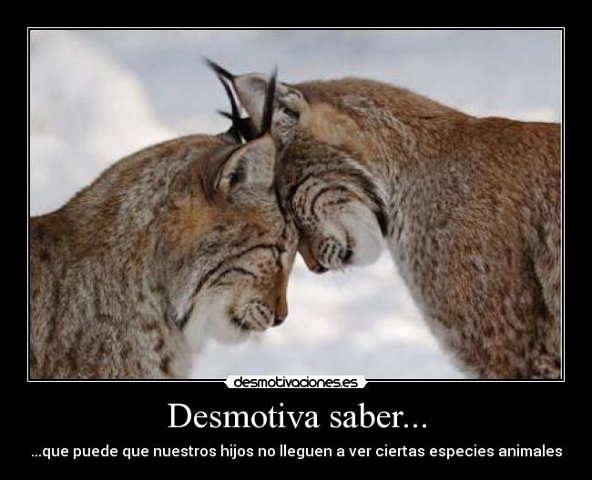 Desmotiva saber... - 