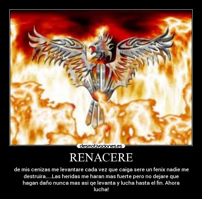 RENACERE - de mis cenizas me levantare cada vez que caiga sere un fenix nadie me
destruira.....Las heridas me haran mas fuerte pero no dejare que
hagan daño nunca mas asi qe levanta y lucha hasta el fin. Ahora
lucha!