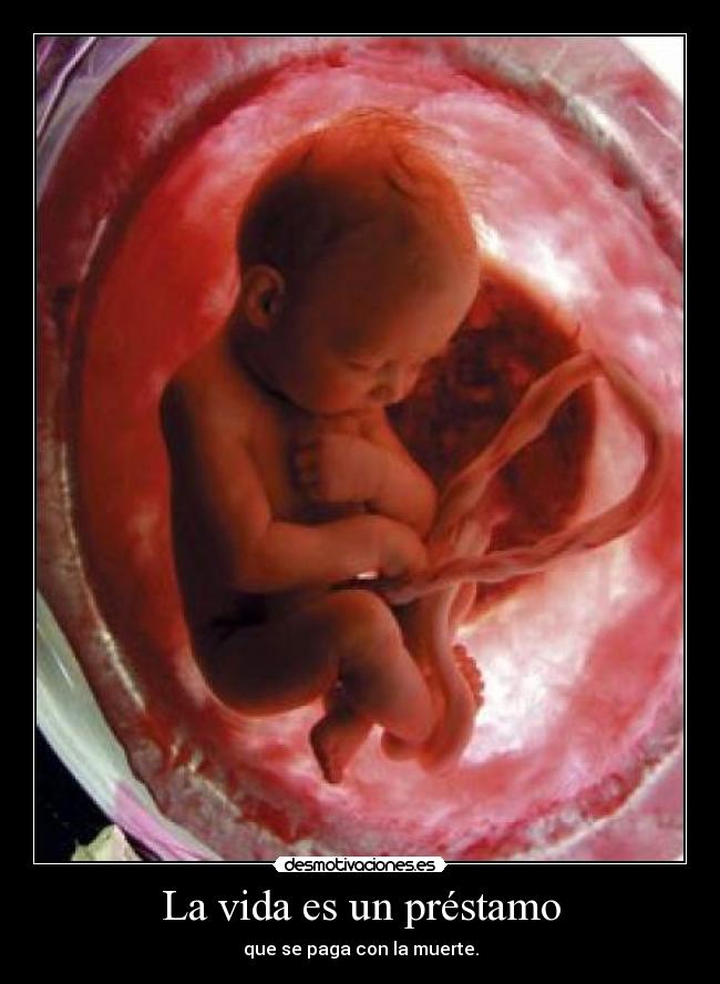 La vida es un préstamo - que se paga con la muerte.