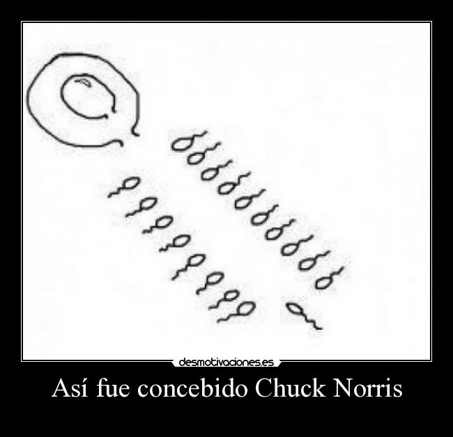 Así fue concebido Chuck Norris - 