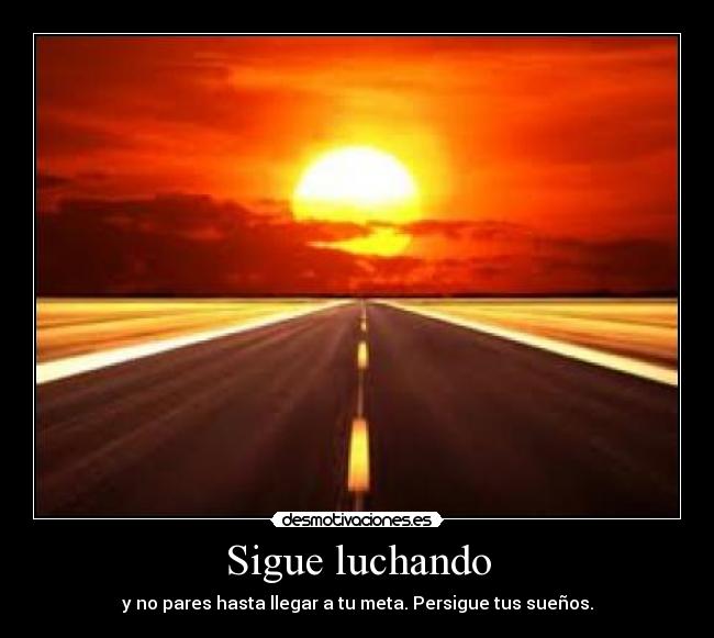 Sigue luchando -
