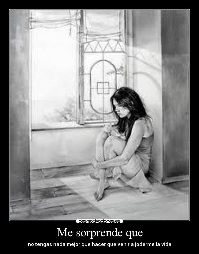 carteles sorprende que tengas nada mejor hacer joderme venir vida desmotivaciones