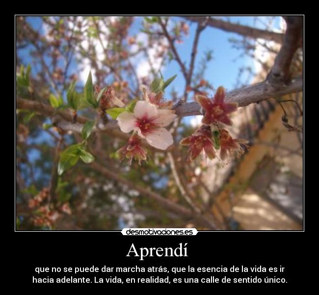 Aprendí -