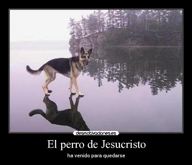 El perro de Jesucristo -