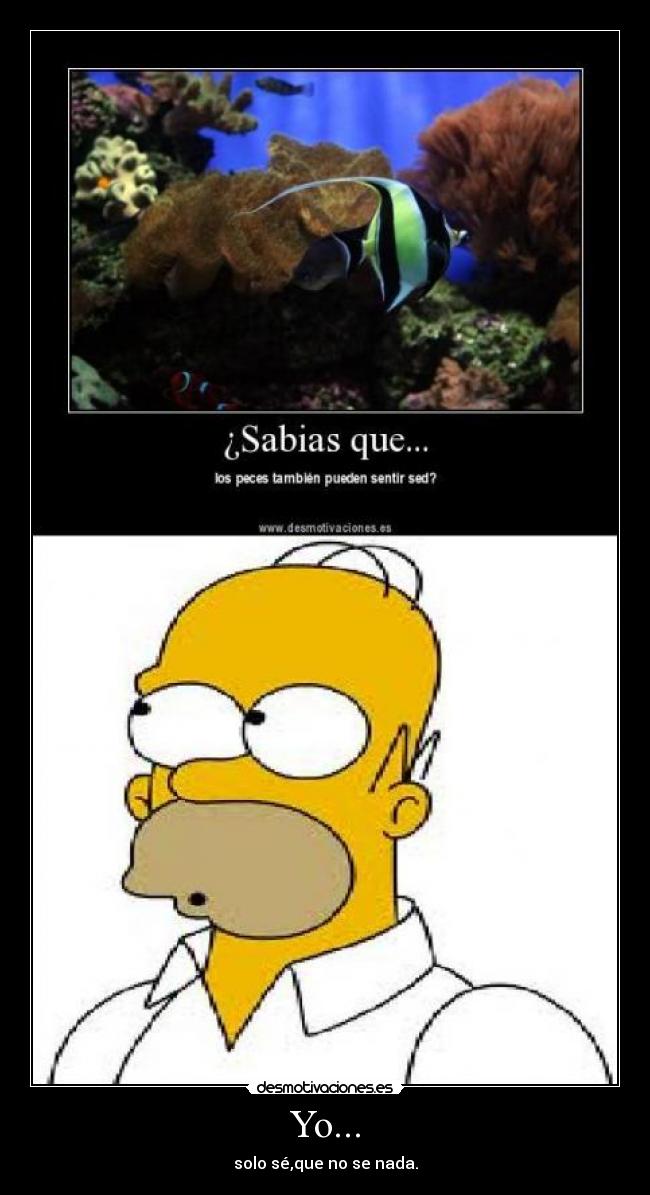 Yo... - solo sé,que no se nada.