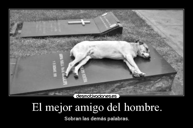 El mejor amigo del hombre. - 