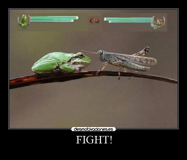 FIGHT! - 