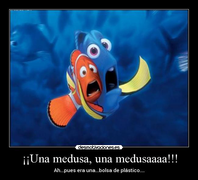 ¡¡Una medusa, una medusaaaa!!! -