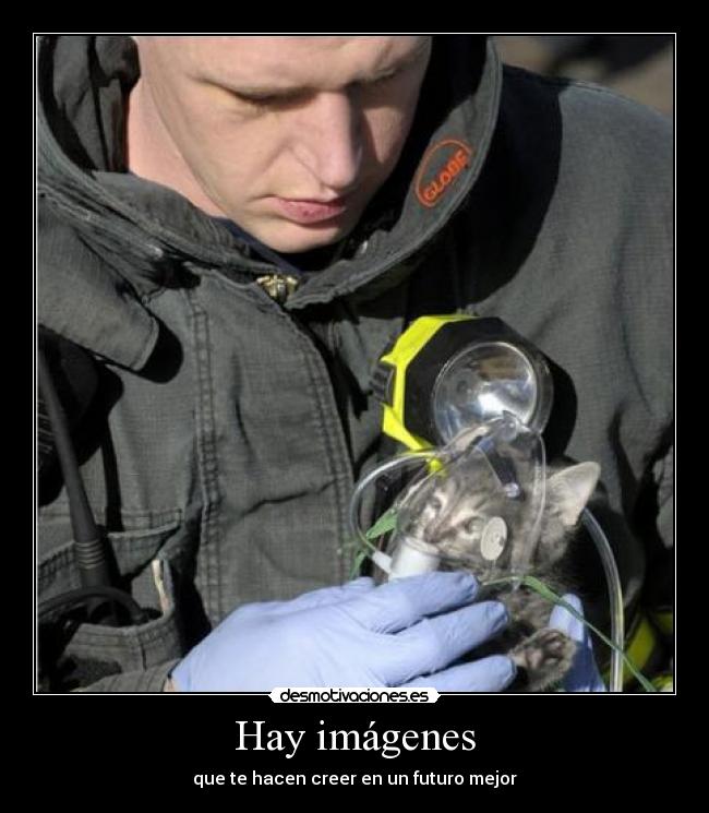 carteles imagenes gatosmascarilla oxigeno desmotivaciones