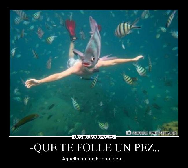 -QUE TE FOLLE UN PEZ.. -