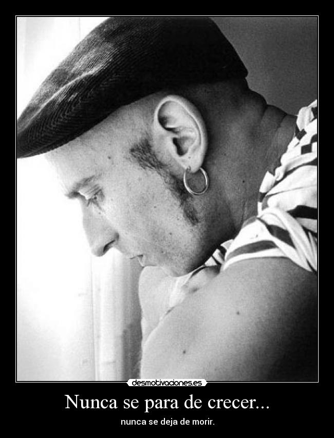 Nunca se para de crecer... -