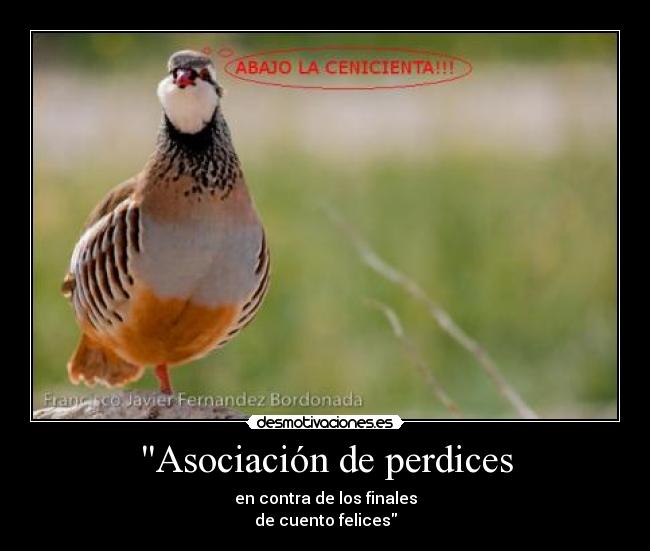 Asociación de perdices -