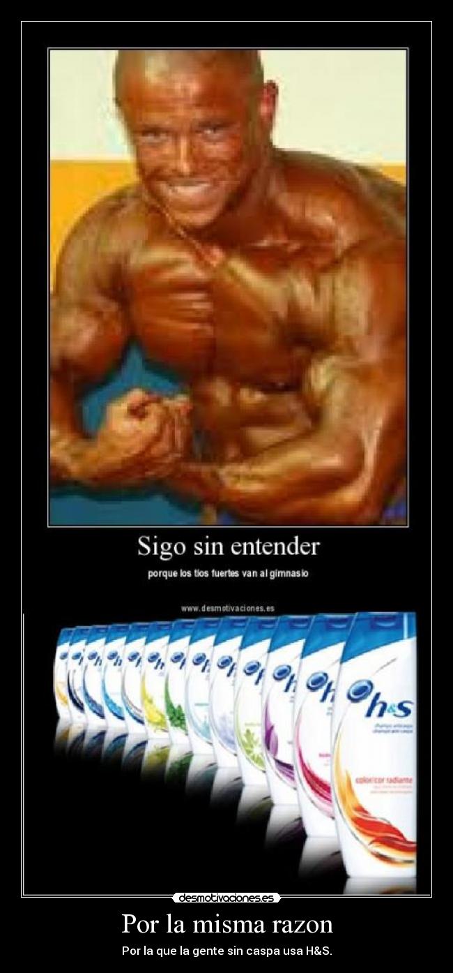 Por la misma razon -