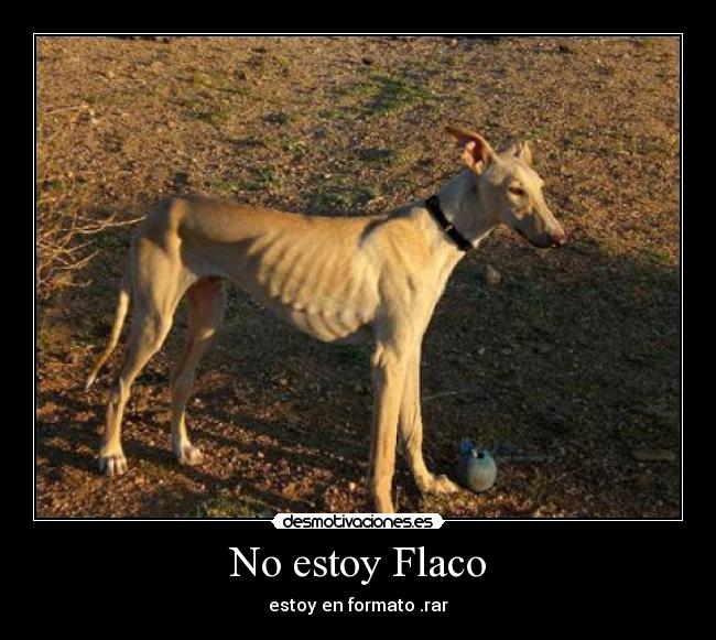 No estoy Flaco - estoy en formato .rar