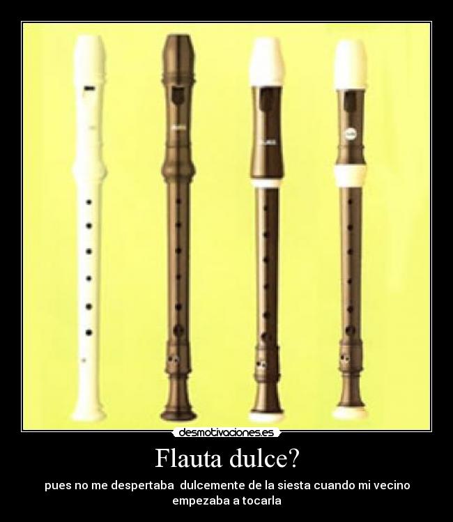 Flauta dulce? - pues no me despertaba dulcemente de la siesta cuando mi vecino empezaba a tocarla