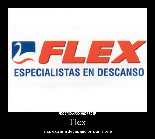 Flex - y su extraña desaparición por la tele
