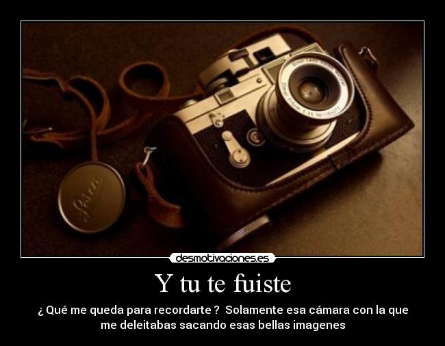 Y tu te fuiste - 