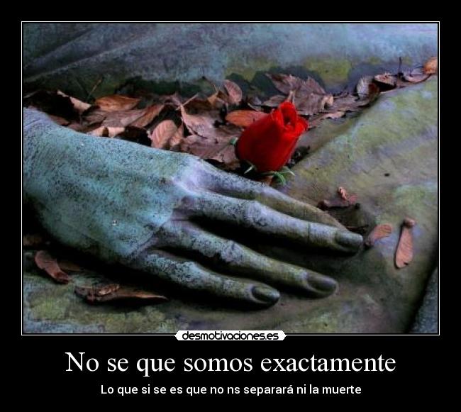 No se que somos exactamente - 