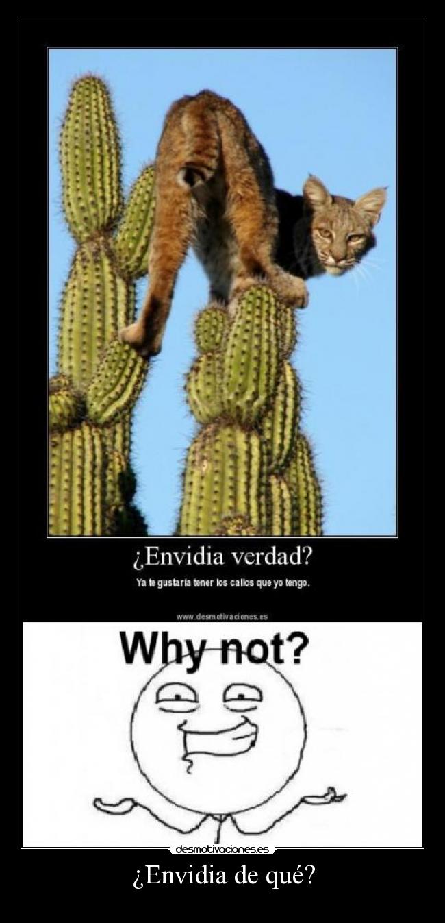 ¿Envidia de qué? - 