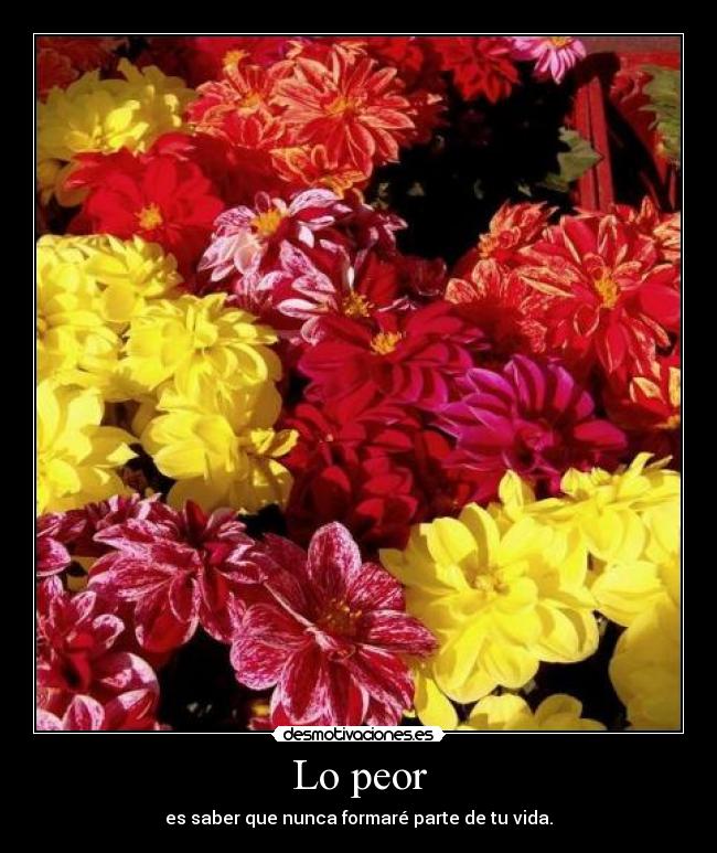 Lo peor - es saber que nunca formaré parte de tu vida.