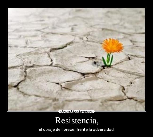 Resistencia, - 