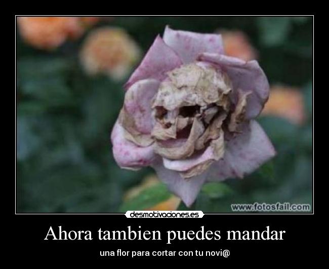 Ahora tambien puedes mandar -