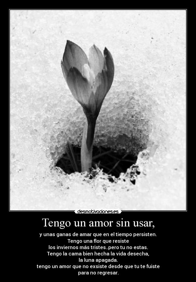 Tengo un amor sin usar, - y unas ganas de amar que en el tiempo persisten.
Tengo una flor que resiste
los inviernos más tristes..pero tu no estas.
Tengo la cama bien hecha la vida desecha,
la luna apagada.
tengo un amor que no exsiste desde que tu te fuiste
para no regresar.