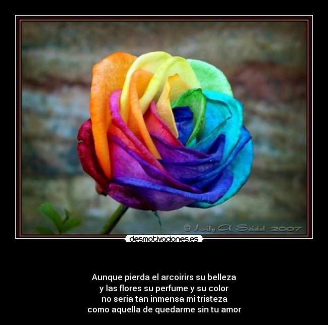 - Aunque pierda el arcoirirs su belleza
y las flores su perfume y su color
no seria tan inmensa mi tristeza
como aquella de quedarme sin tu amor