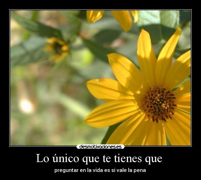 carteles vida desmotivaciones