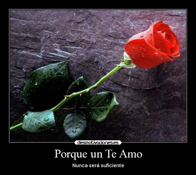 Porque un Te Amo - Nunca será suficiente
