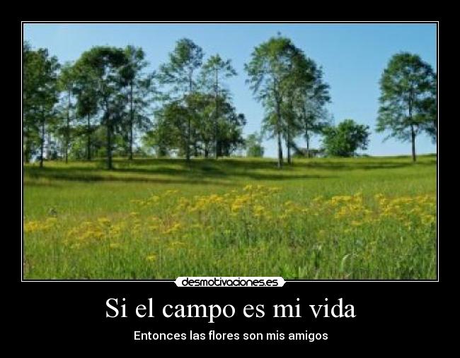 Si el campo es mi vida -