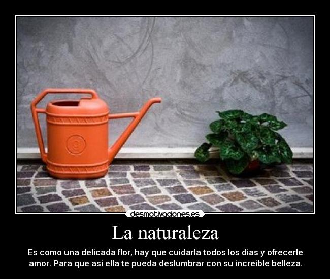 La naturaleza - Es como una delicada flor, hay que cuidarla todos los dias y ofrecerle
amor. Para que asi ella te pueda deslumbrar con su increible belleza.