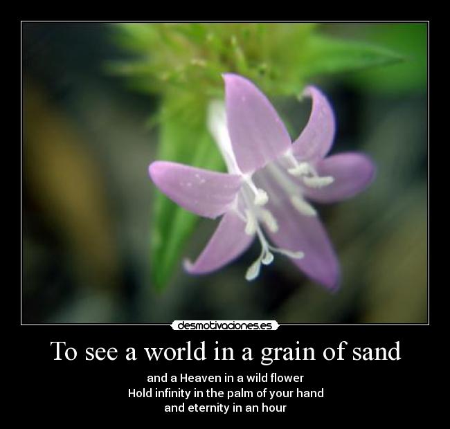 To see a world in a grain of sand - and a Heaven in a wild flower
Hold infinity in the palm of your hand
and eternity in an hour