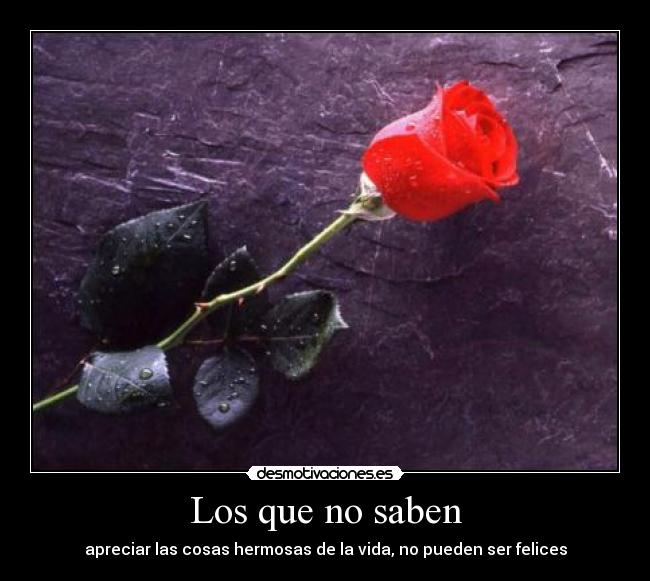 Los que no saben - 