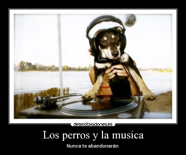Los perros y la musica - Nunca te abandonarán