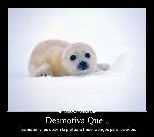 Desmotiva Que... - ..las maten y les quiten la piel para hacer abrigos para los ricos.