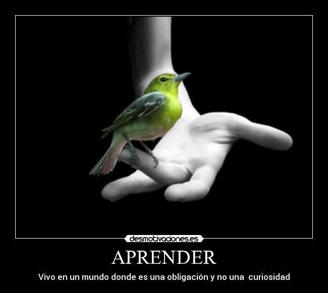 carteles aprender obligacion curiosidad mundo desmotivaciones