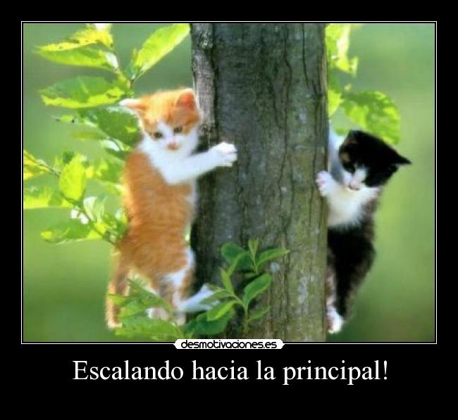 Escalando hacia la principal! - 