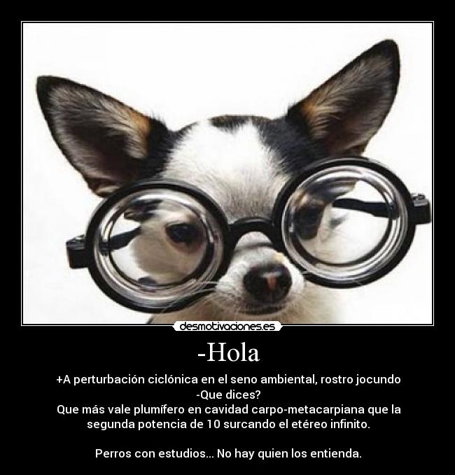 -Hola - +A perturbación ciclónica en el seno ambiental, rostro jocundo
-Que dices?
 Que más vale plumífero en cavidad carpo-metacarpiana que la
segunda potencia de 10 surcando el etéreo infinito.

Perros con estudios... No hay quien los entienda.