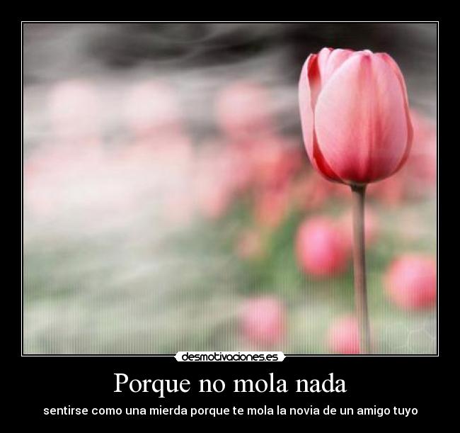 Porque no mola nada - 