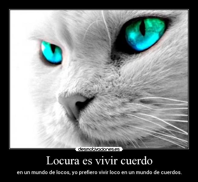 Locura es vivir cuerdo - 