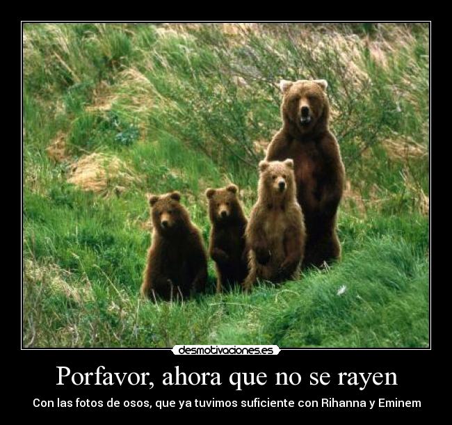 Porfavor, ahora que no se rayen - 