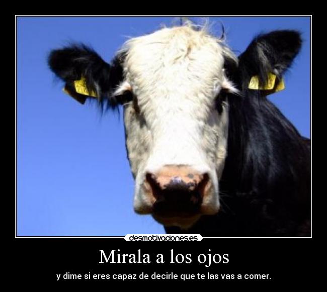 carteles senses1996 desmotivaciones