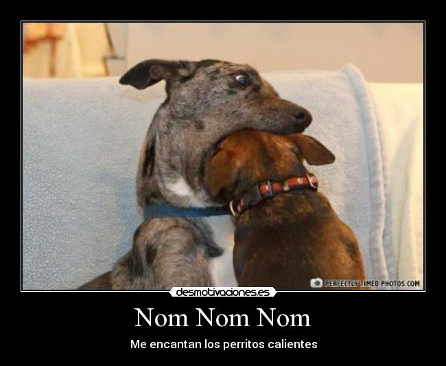 carteles xjadklnh desmotivaciones