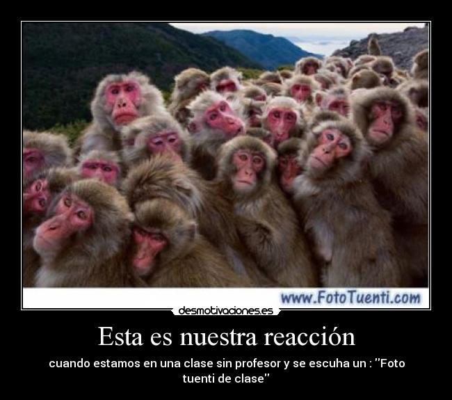 Esta es nuestra reacción -