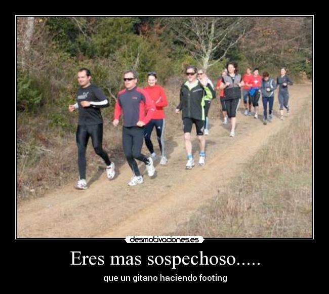 carteles gitano desmotivaciones