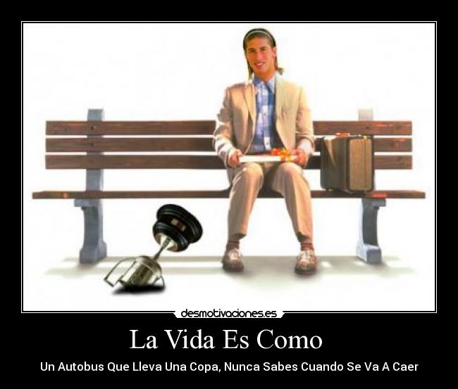 La Vida Es Como  - Un Autobus Que Lleva Una Copa, Nunca Sabes Cuando Se Va A Caer