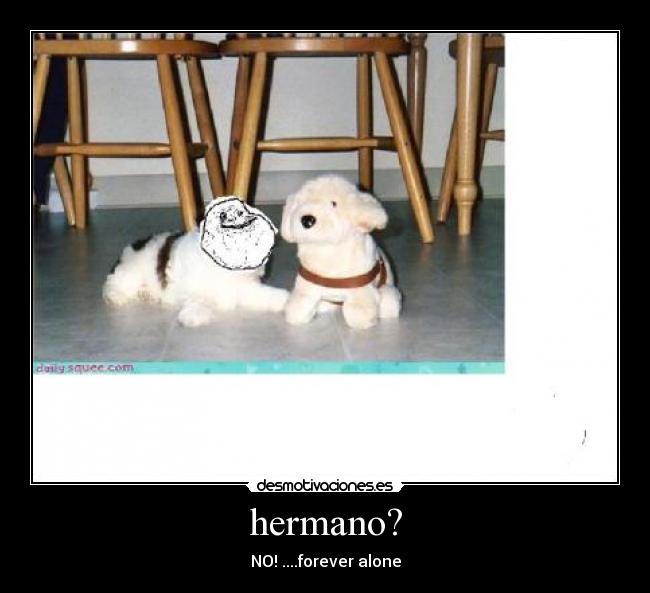 hermano? - NO! ....forever alone