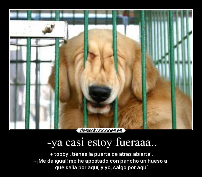 -ya casi estoy fueraaa.. -