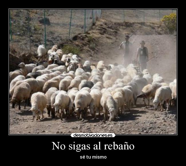 No sigas al rebaño - 